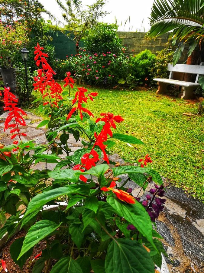Barefoot Inn แคนดี้ ภายนอก รูปภาพ